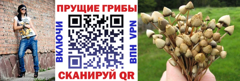 Галлюциногенные грибы ЛСД  даркнет сайт  Калининград 