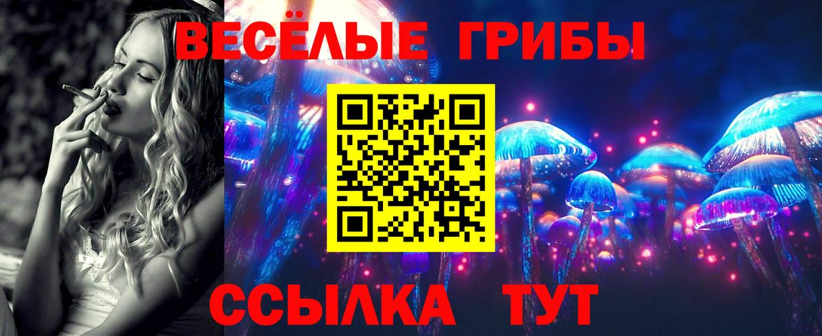 Калининград  Галлюциногенные грибы ЛСД  Вход с VPN  Галлюциногенные грибы Psilocybe 