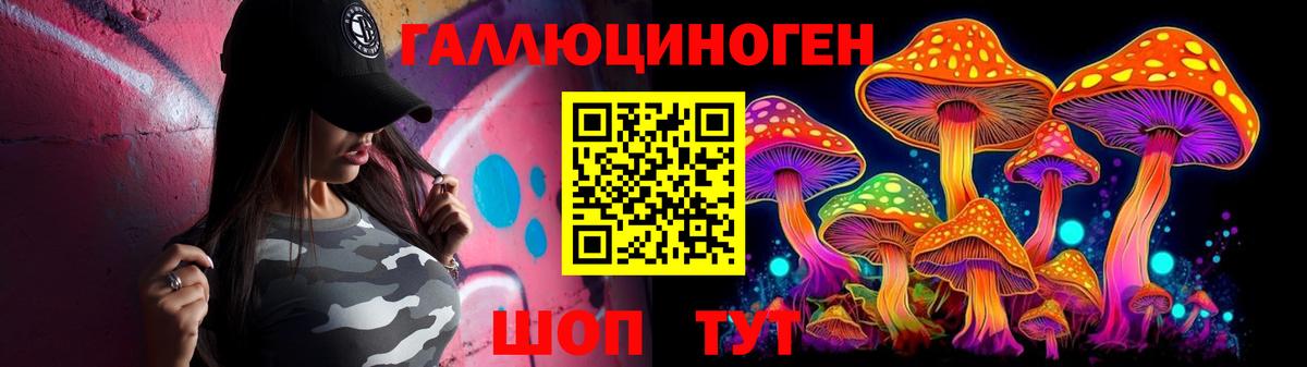 Галлюциногенные грибы Psilocybe Калининград